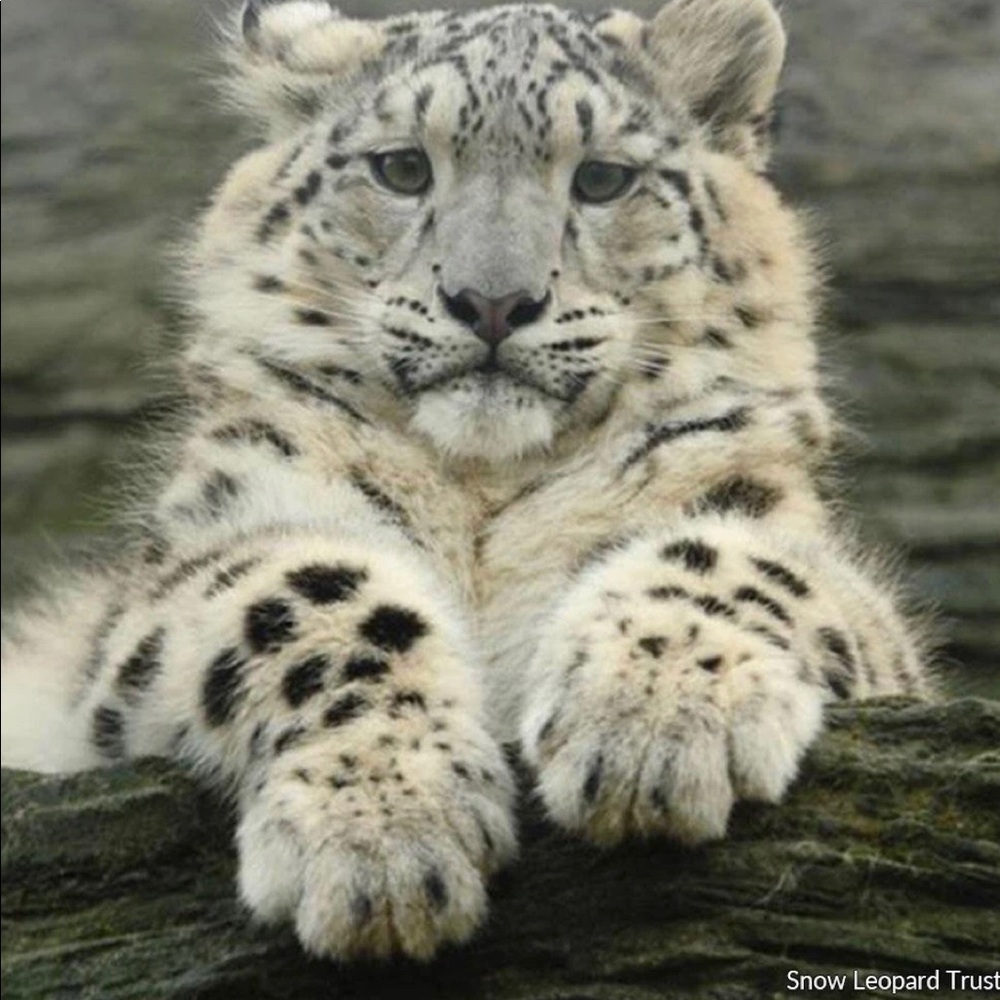 Meet your Posher, Julie